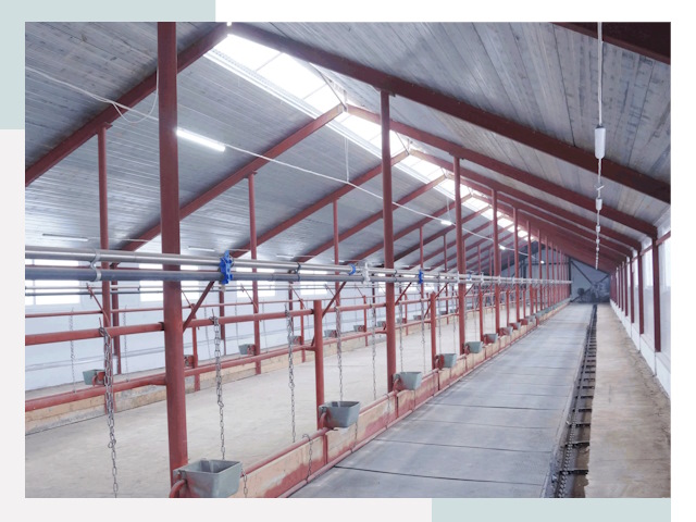 Строительство коровников в Удомле от 623 руб.