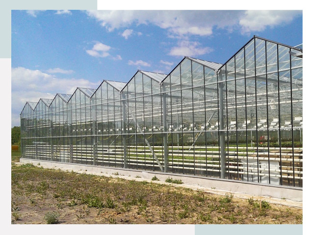 Строительство теплиц в Удомля от 623 руб. за м²